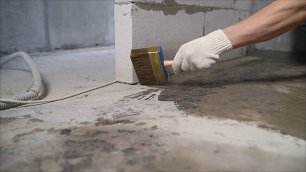 SJ Waterproofing Pros Waterproofing coverage map for Waverly, AL and surrounding area